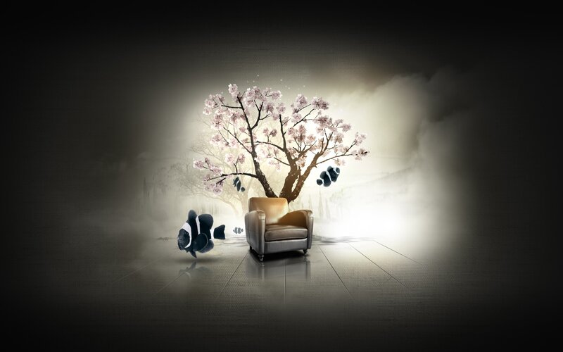 Cherry blossom tree in a chair