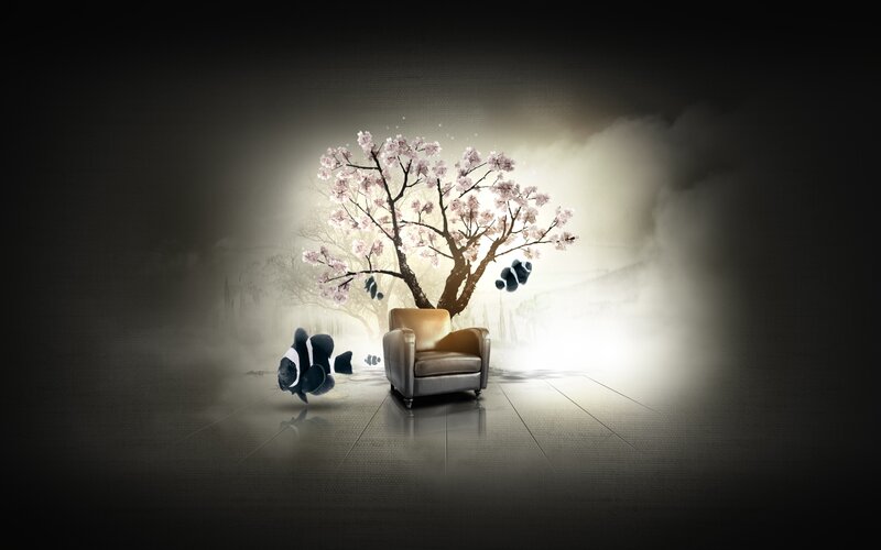 Cherry blossom tree in a chair