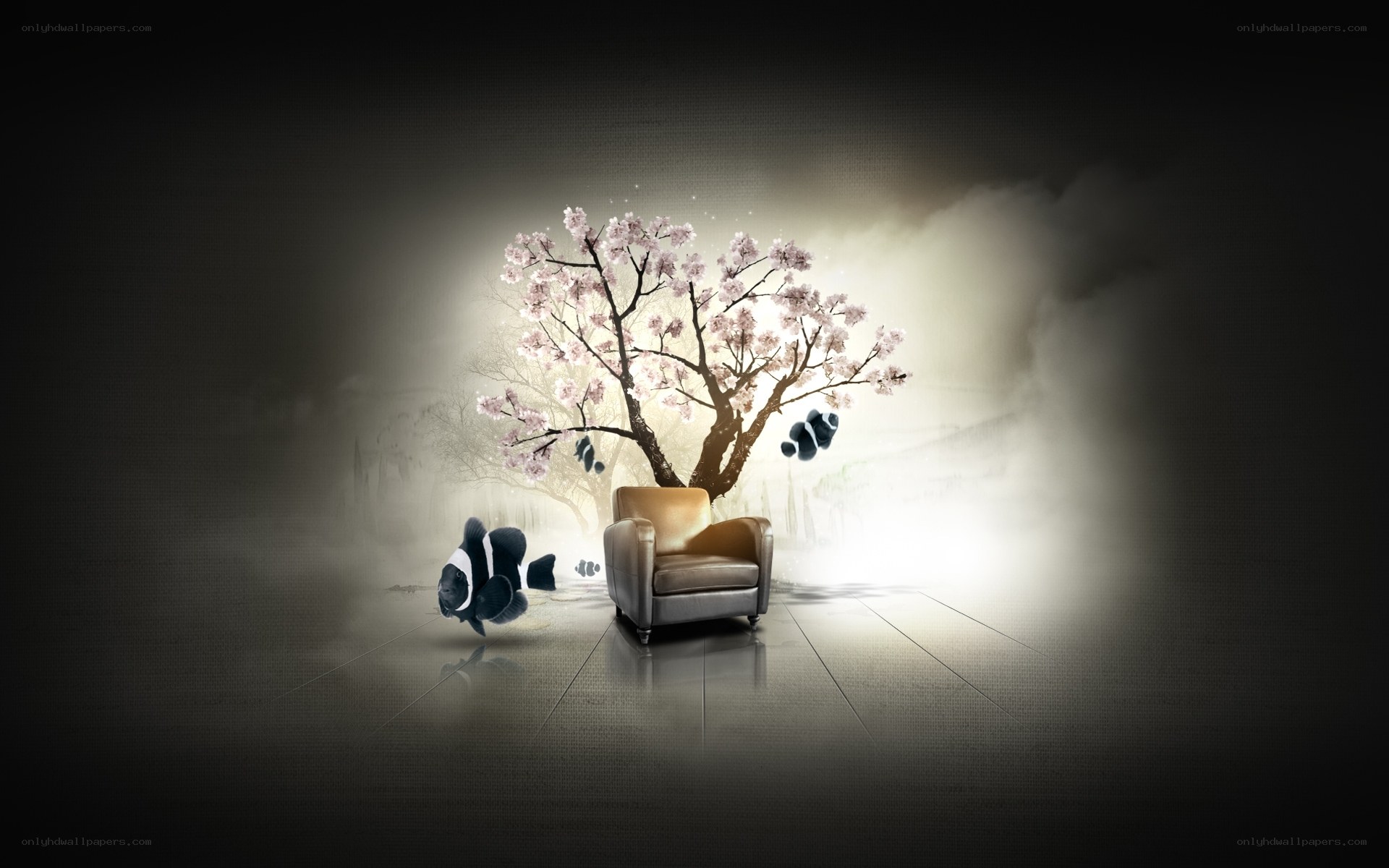 Cherry blossom tree in a chair