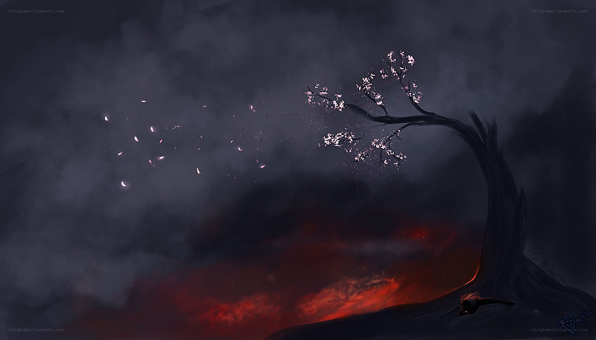 Cherry blossom tree in a dark landscape