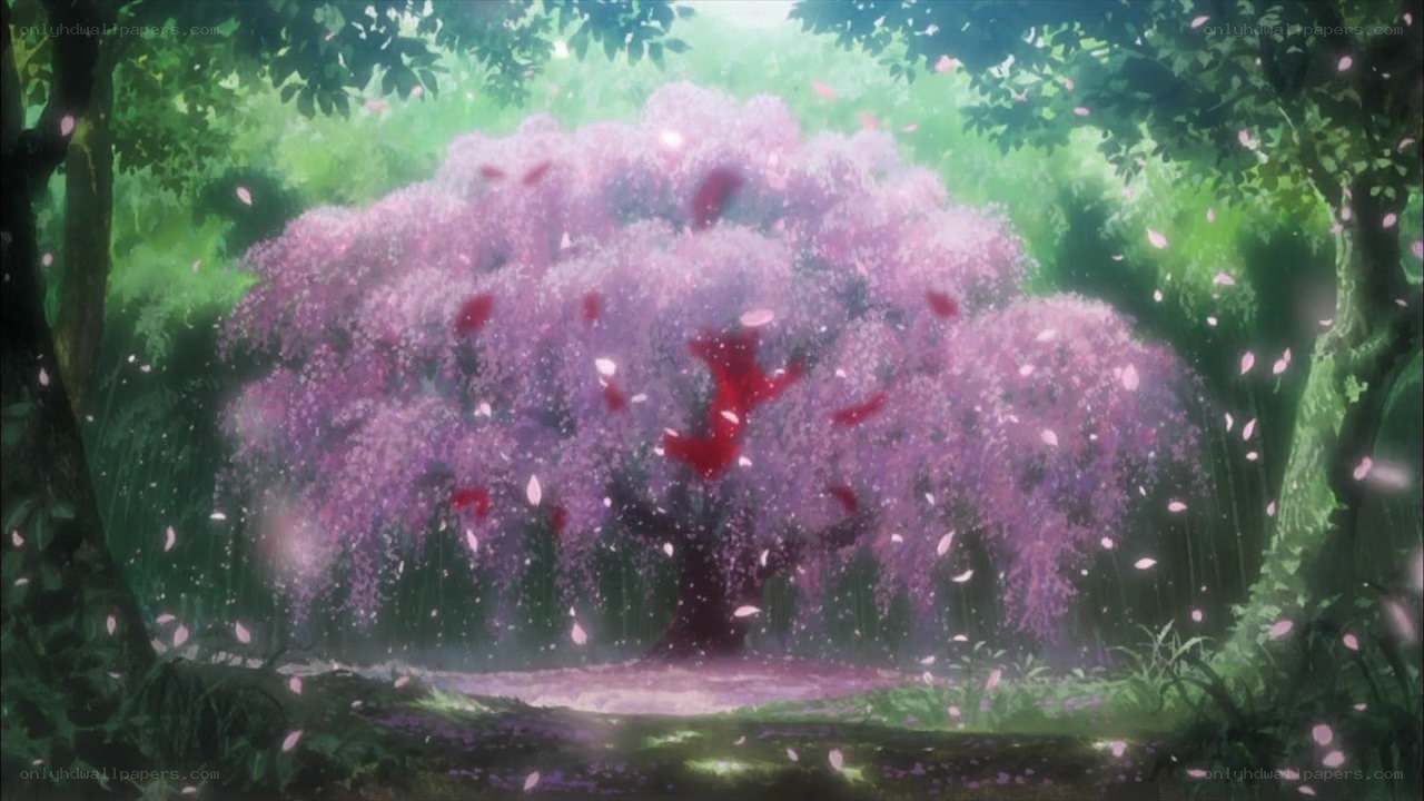 Cherry blossom tree in forest