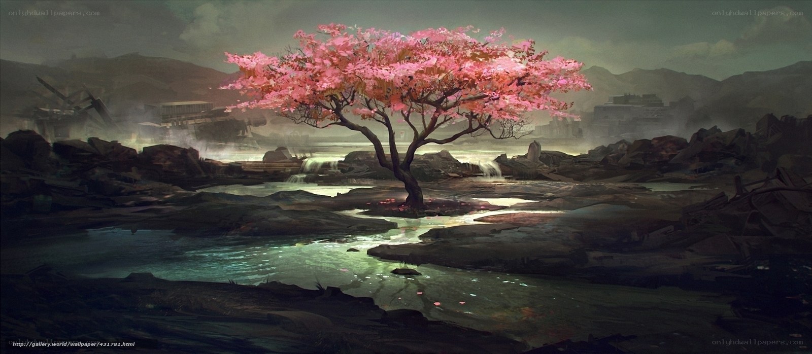 Cherry blossom tree in ruins