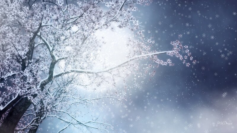Cherry Blossom Tree in Snow