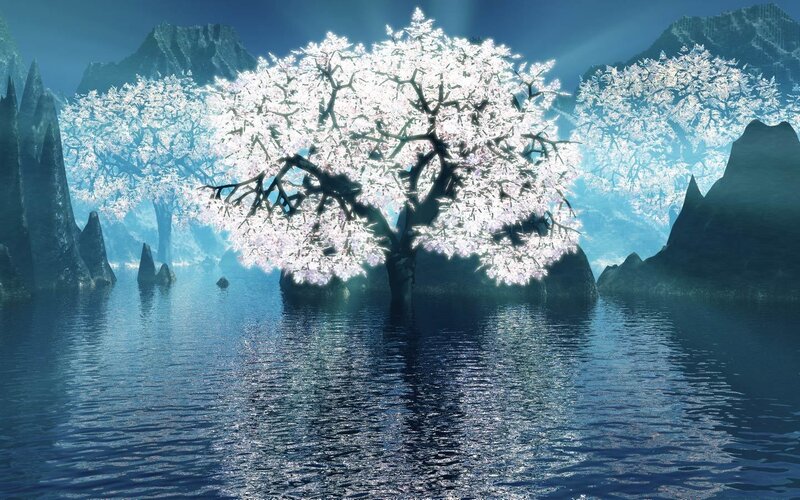 Cherry blossom tree in water