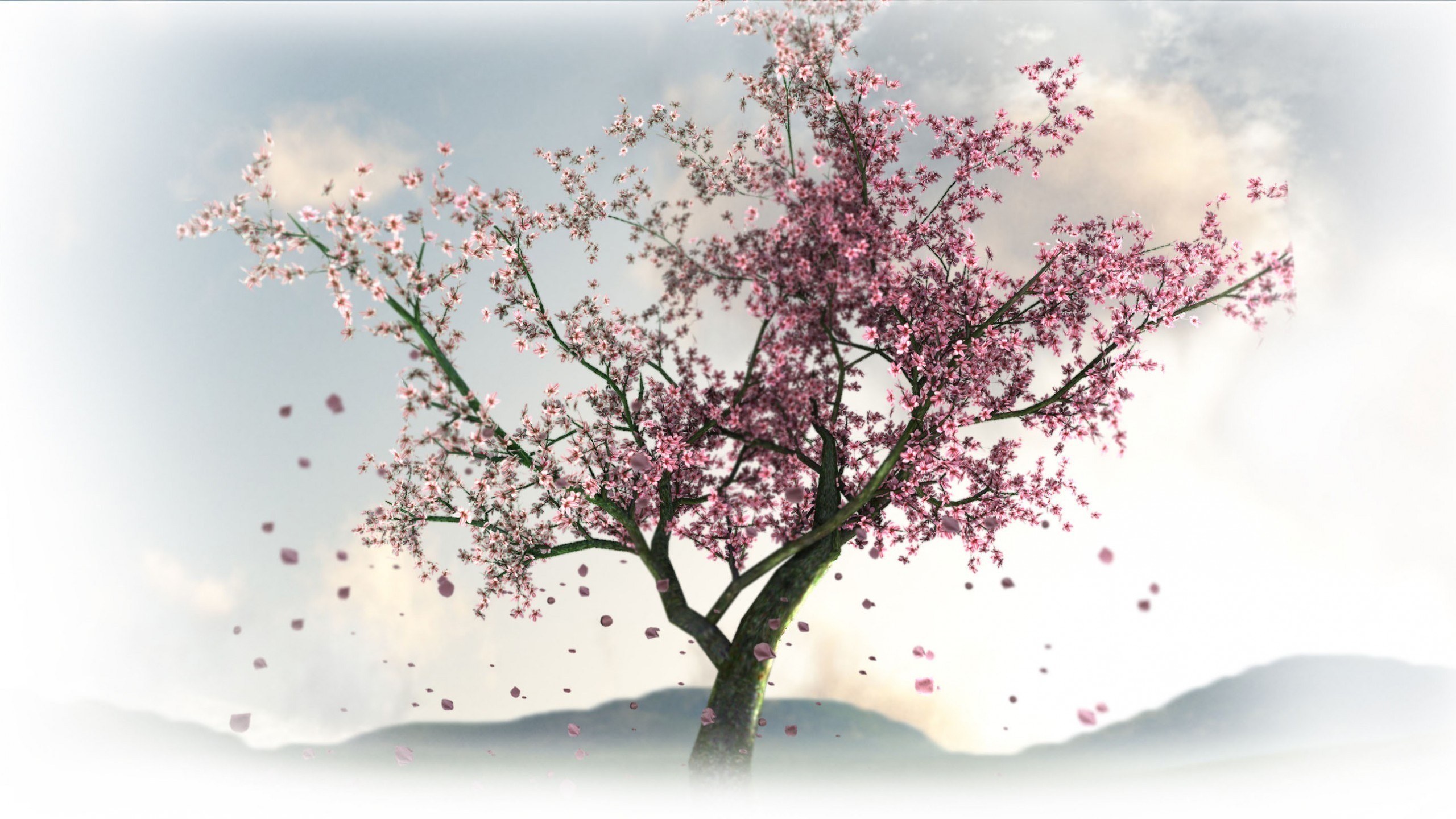 cherry blossom tree in wind