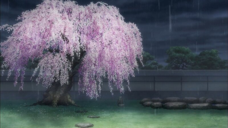 Cherry Blossom Tree — Pink, Dramatic, Night