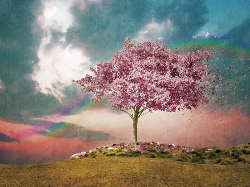 Cherry Blossom Tree — Pink, Dreamy, Spring, Digital Art, Rainbow, Clouds, Hill