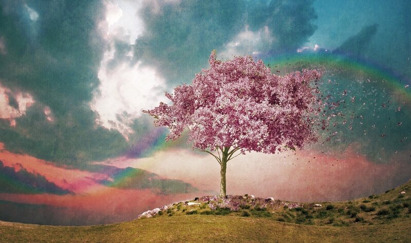 Cherry Blossom Tree — Pink, Dreamy, Spring, Digital Art, Rainbow