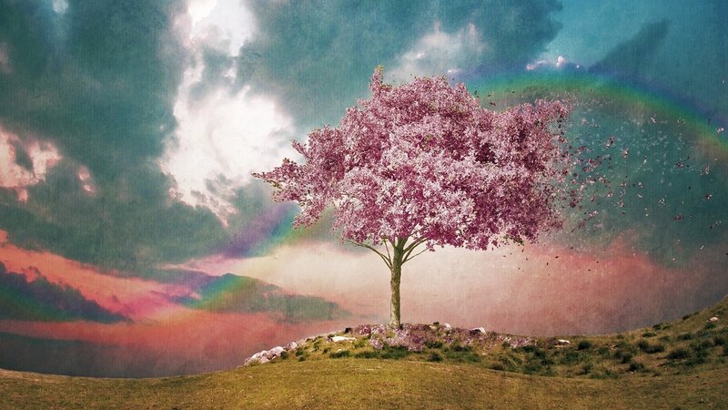 Cherry Blossom Tree — Pink, Dreamy, Spring, Digital Art