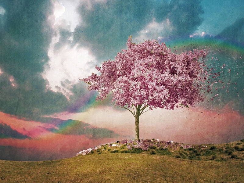 Cherry Blossom Tree — Pink, Dreamy