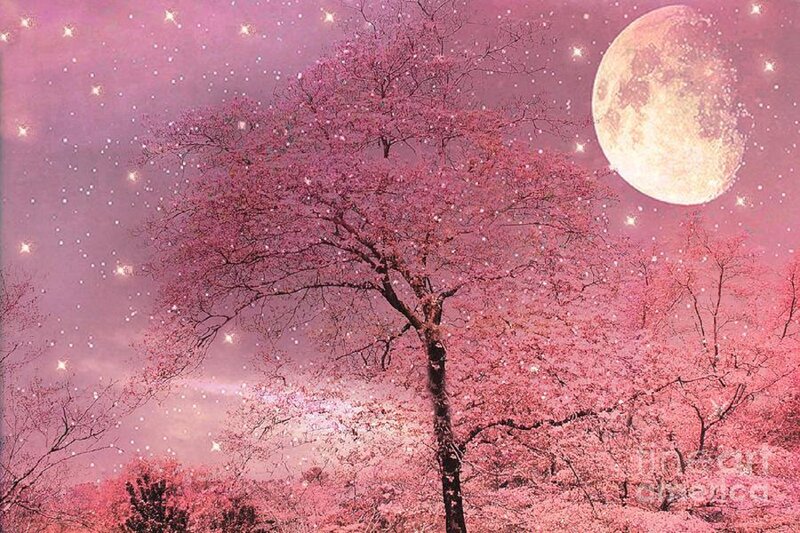 Cherry Blossom Tree — Pink, Serene, Night, Digital Art