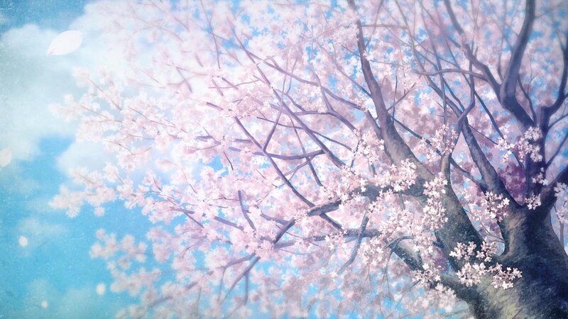 Cherry Blossom Tree — Pink, Serene, Spring, Anime, Branches