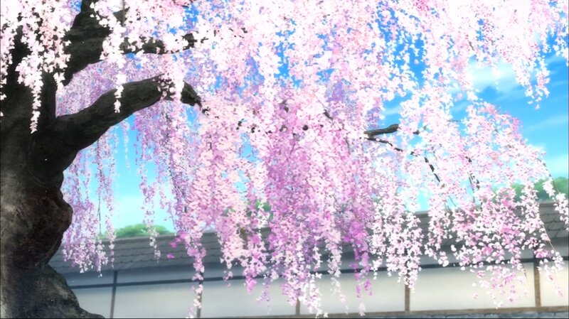 Cherry Blossom Tree — Pink, Serene, Spring, Anime, Building