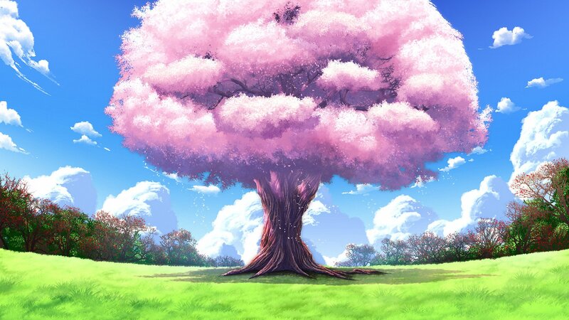 Cherry Blossom Tree — Pink, Serene, Spring, Anime, Grass