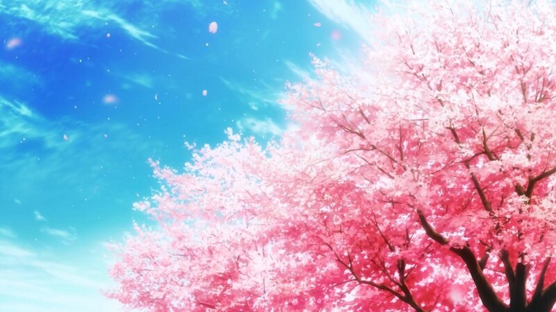 Cherry Blossom Tree — Pink, Serene, Spring, Anime, Sky