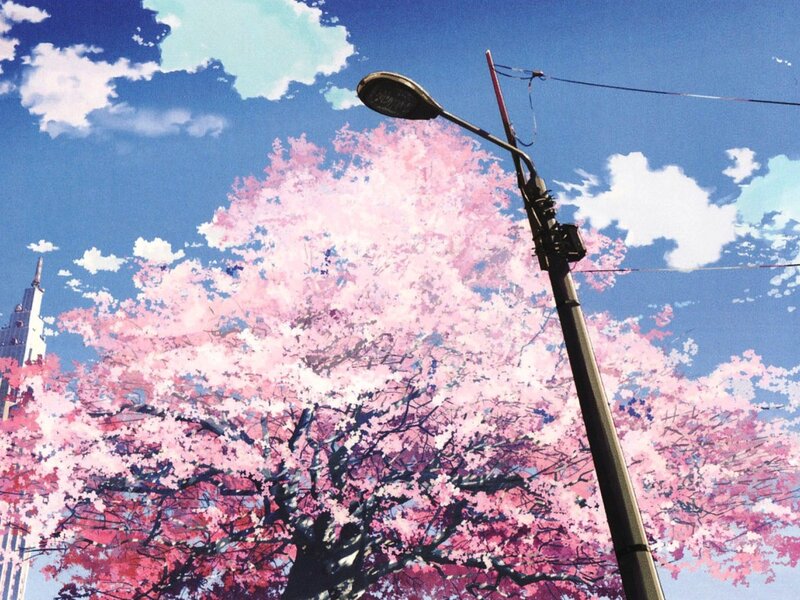 Cherry Blossom Tree — Pink, Serene, Spring, Anime, Street Lamp, Clouds