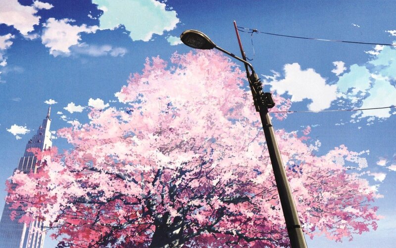 Cherry Blossom Tree — Pink, Serene, Spring, Anime, Street Lamp