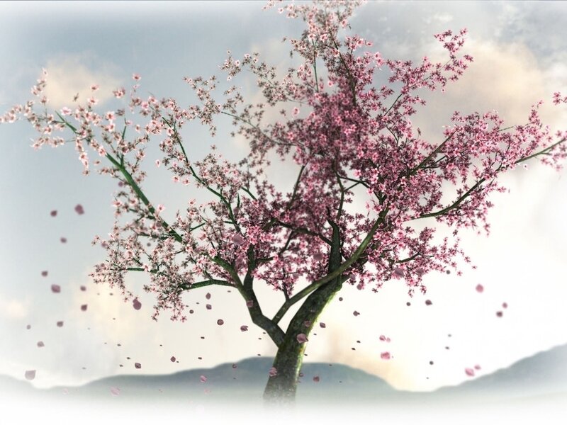 Cherry Blossom Tree — Pink, Serene, Spring, Digital Art, Flowers