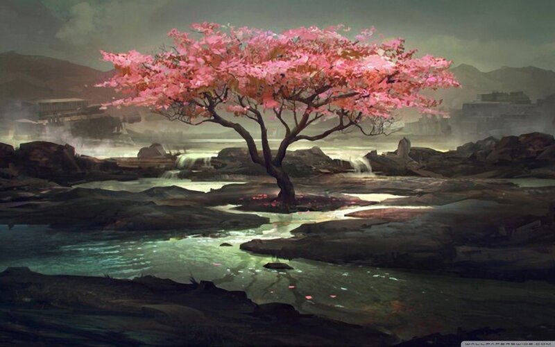 Cherry Blossom Tree — Pink, Serene, Spring, Digital Art, River, Rocks