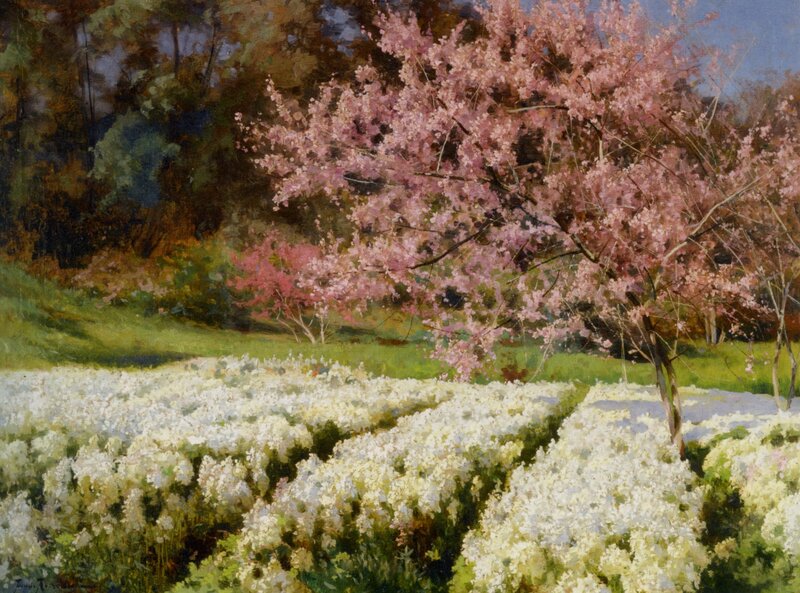 Cherry Blossom Tree — Pink, Serene, Spring, Painting, Flowering Trees