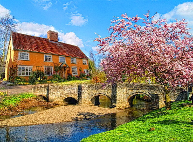 Cherry Blossom Tree — Pink, Serene, Spring, Photograph, House
