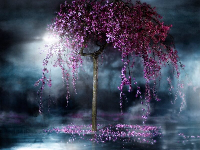 Cherry Blossom Tree — Purple, Dramatic, Night, Digital Art