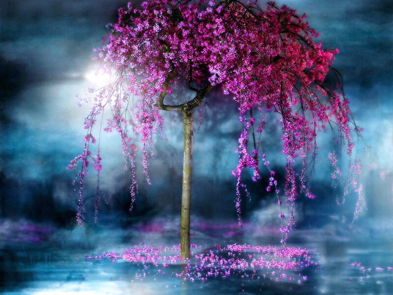 Cherry Blossom Tree — Purple, Dreamy, Night, Digital Art