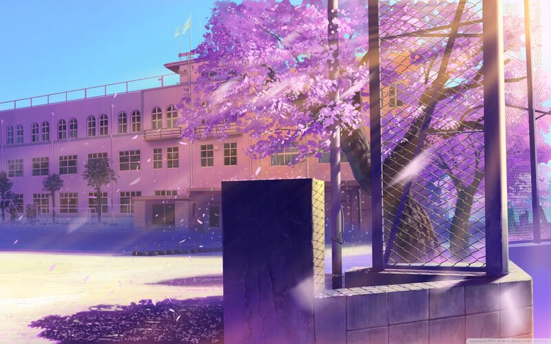 Cherry Blossom Tree — Purple, Serene, Spring, Anime, School Building