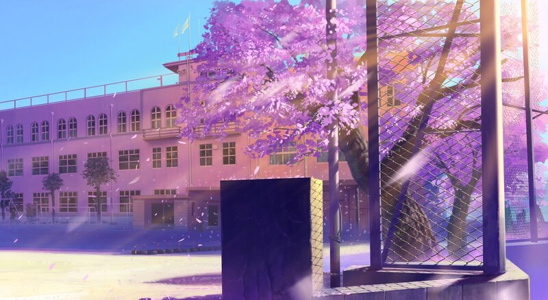 Cherry Blossom Tree — Purple, Serene, Spring, Anime