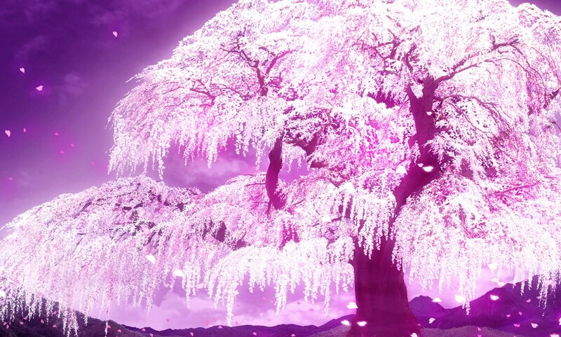 Cherry Blossom Tree — Purple, Serene, Spring, Digital Art