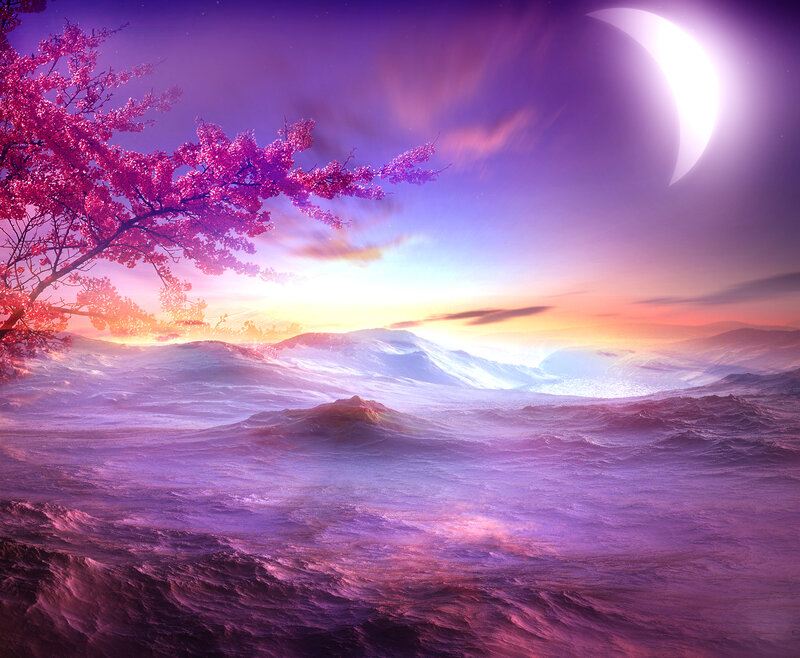 Cherry Blossom Tree — Purple, Serene, Sunset