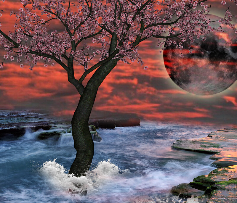 Cherry Blossom Tree — Red, Dramatic