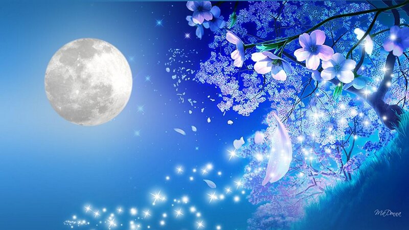 Cherry Blossom Tree under Moon — Blue, Serene