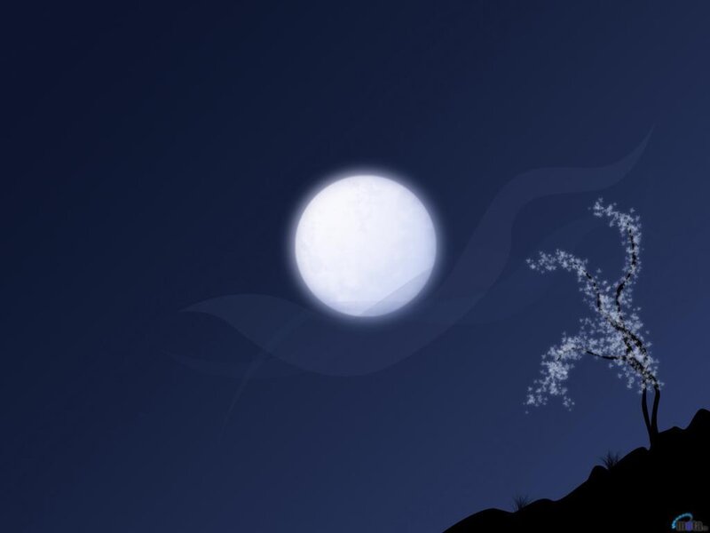 Cherry Blossom Tree under Moon