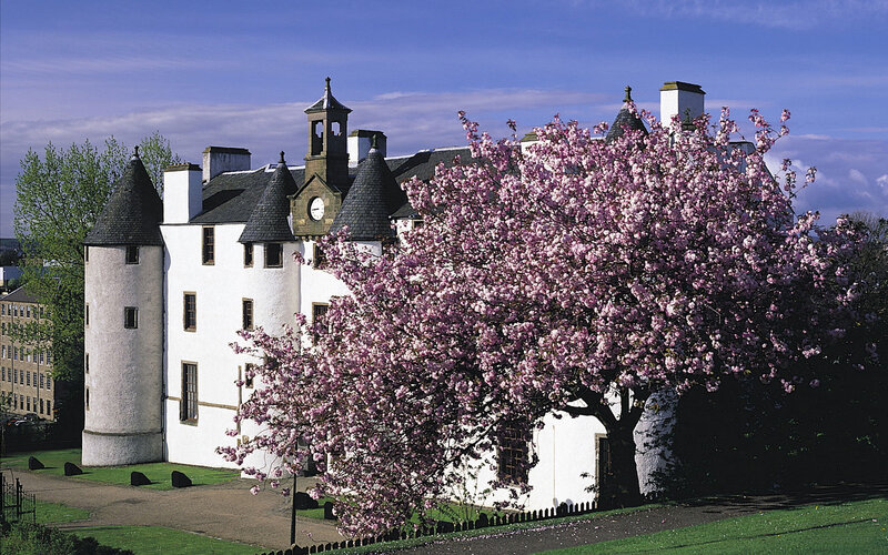 Cherry Blossom Tree — White, Serene, Spring, Photograph, Castle