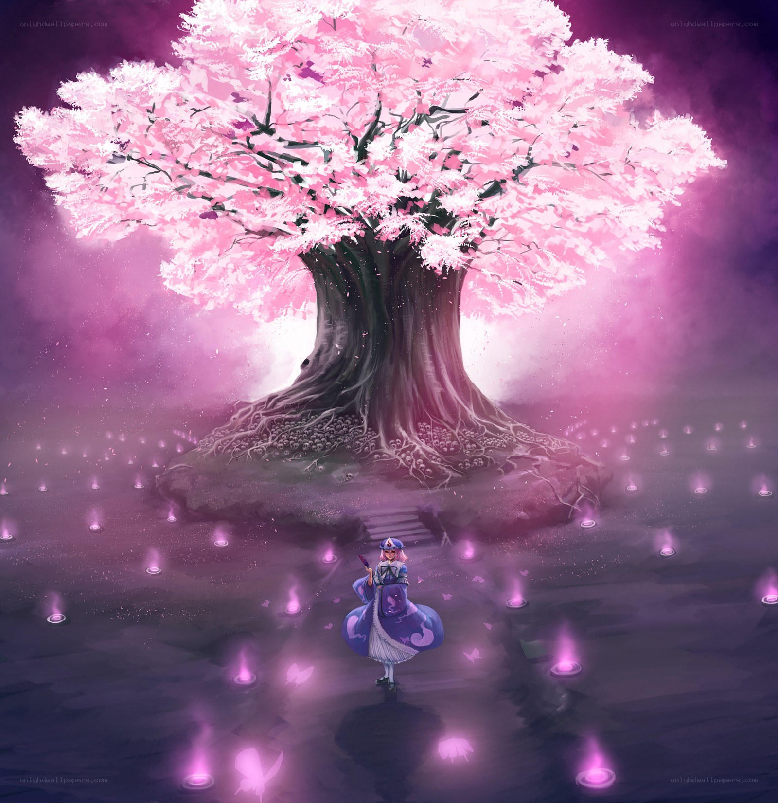 Cherry blossom tree with girl