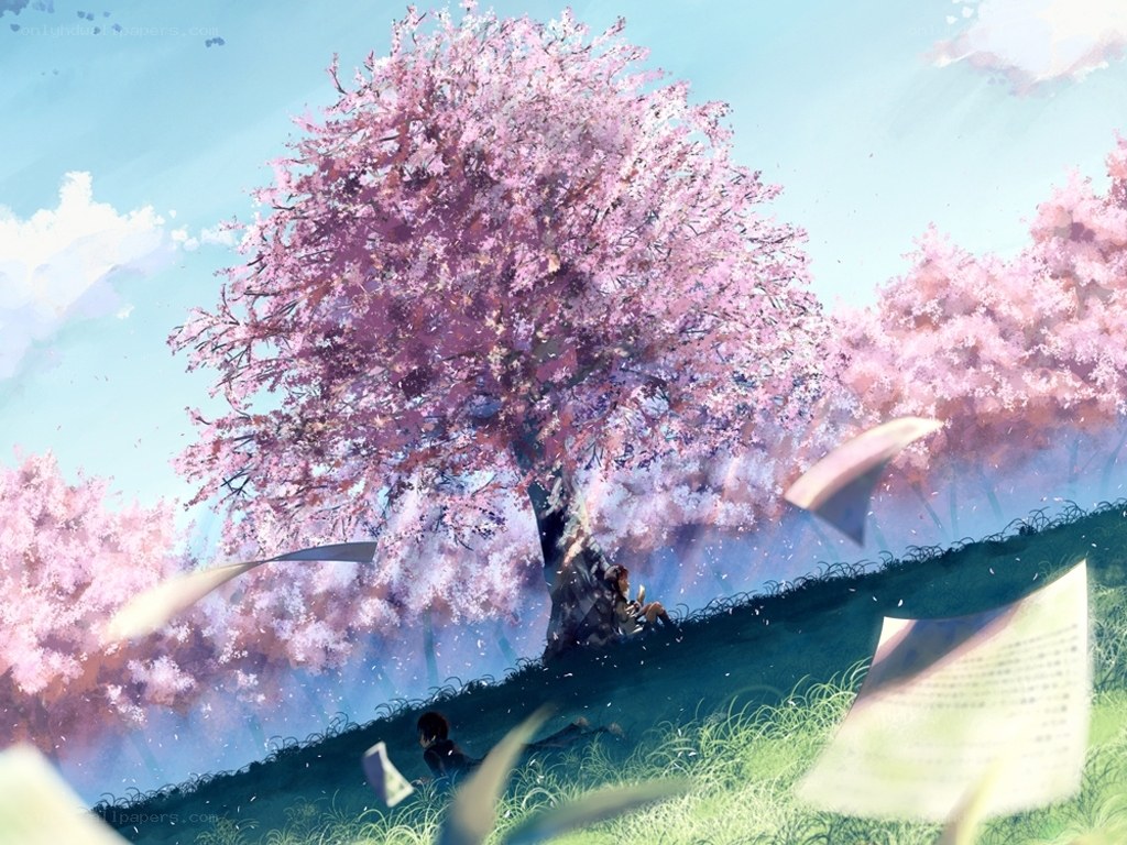 Cherry blossom tree with people
