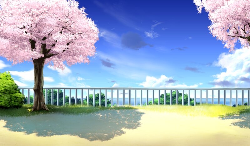 Cherry Blossom Trees — Blue, Serene, Spring, Anime