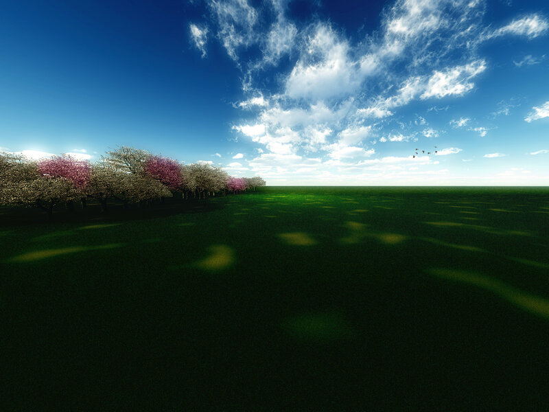 Cherry Blossom Trees — Blue, Serene, Spring, Digital Art, Field