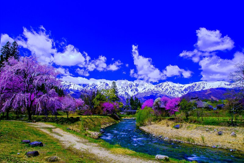 Cherry Blossom Trees — Blue, Serene, Spring, Photograph, River, Mountains