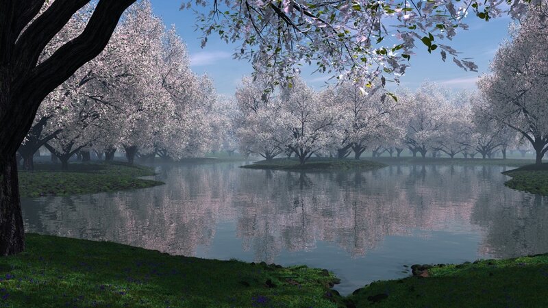 Cherry Blossom Trees — Green, Serene, Spring, 3d Render, River