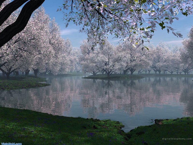 Cherry Blossom Trees — Green, Serene, Spring, Digital Art, River, Grass, White