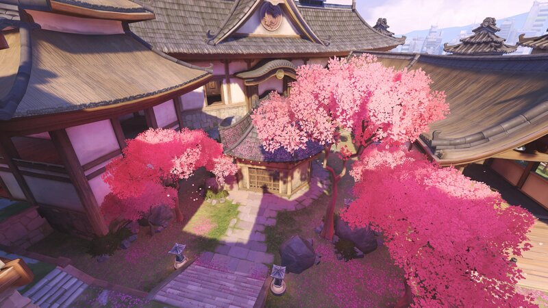 Cherry Blossom Trees in Courtyard