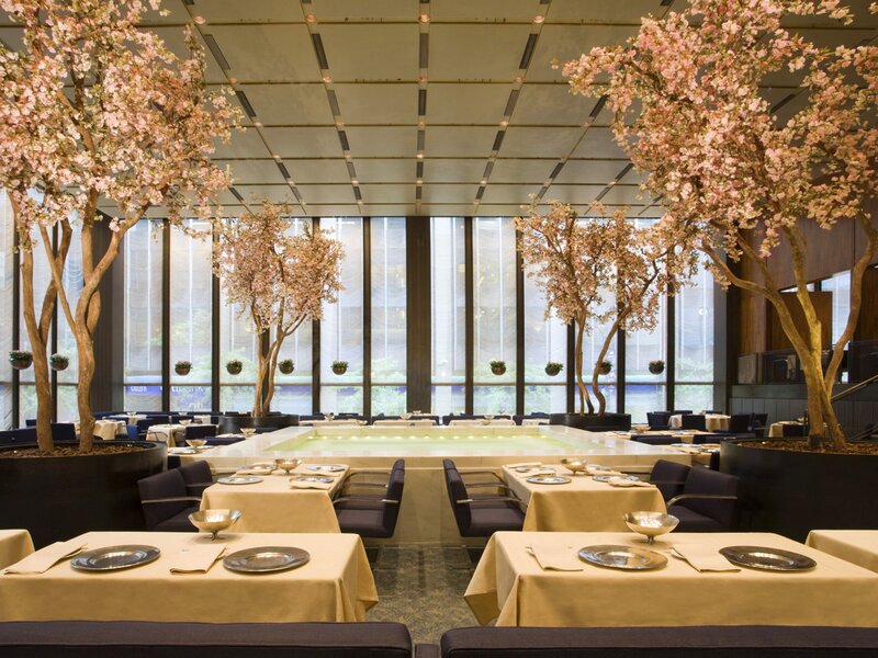 Cherry Blossom Trees in Restaurant