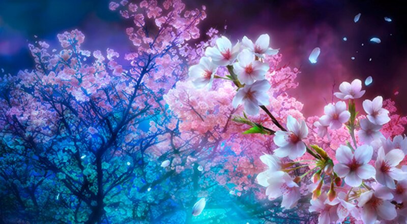 Cherry Blossom Trees — Pink, Dreamy