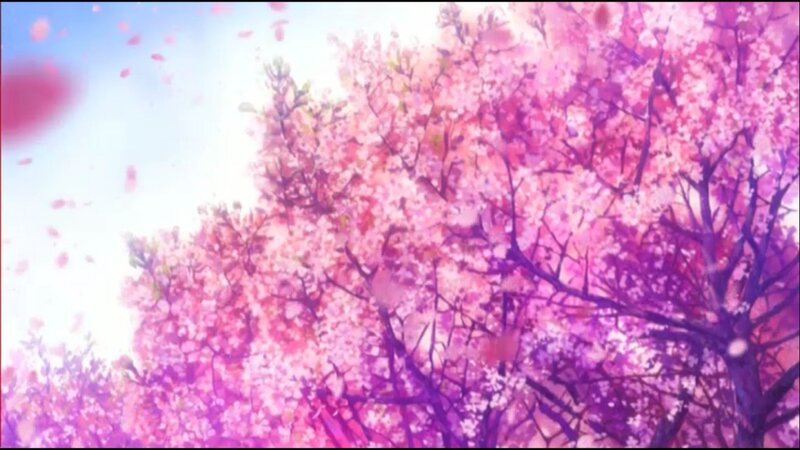 Cherry Blossom Trees — Pink, Serene, Spring, Anime, Flowers