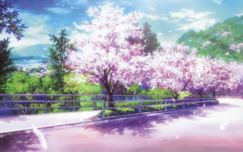Cherry Blossom Trees — Pink, Serene, Spring, Anime, Path