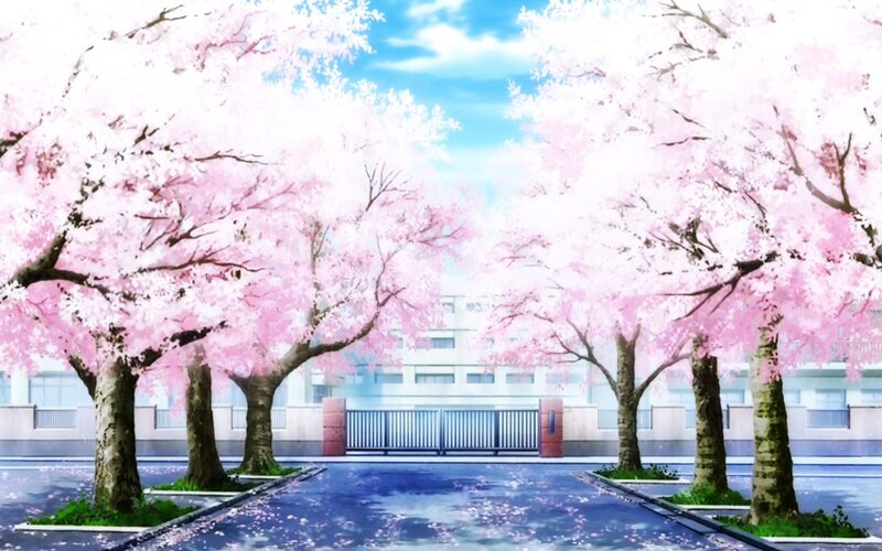 Cherry Blossom Trees — Pink, Serene, Spring, Anime, School Building