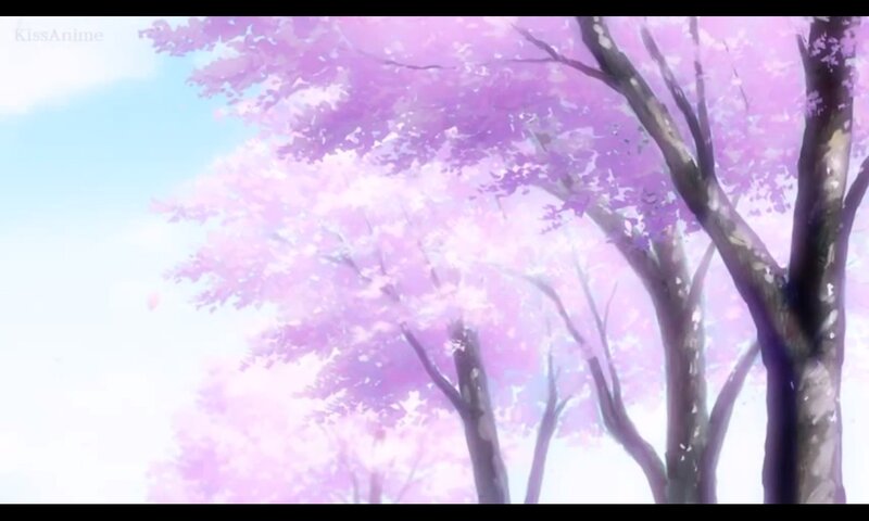 Cherry Blossom Trees — Pink, Serene, Spring, Anime, Sky, Flowers