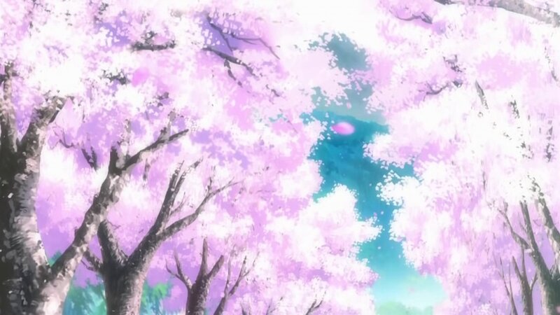 Cherry Blossom Trees — Pink, Serene, Spring, Anime, Sky